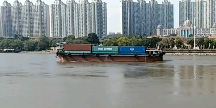 2024年珠江水系口岸完成集装箱吞吐量7562万TEU