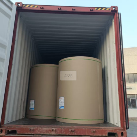 原木卷纸纸张可以走集装箱海运吗